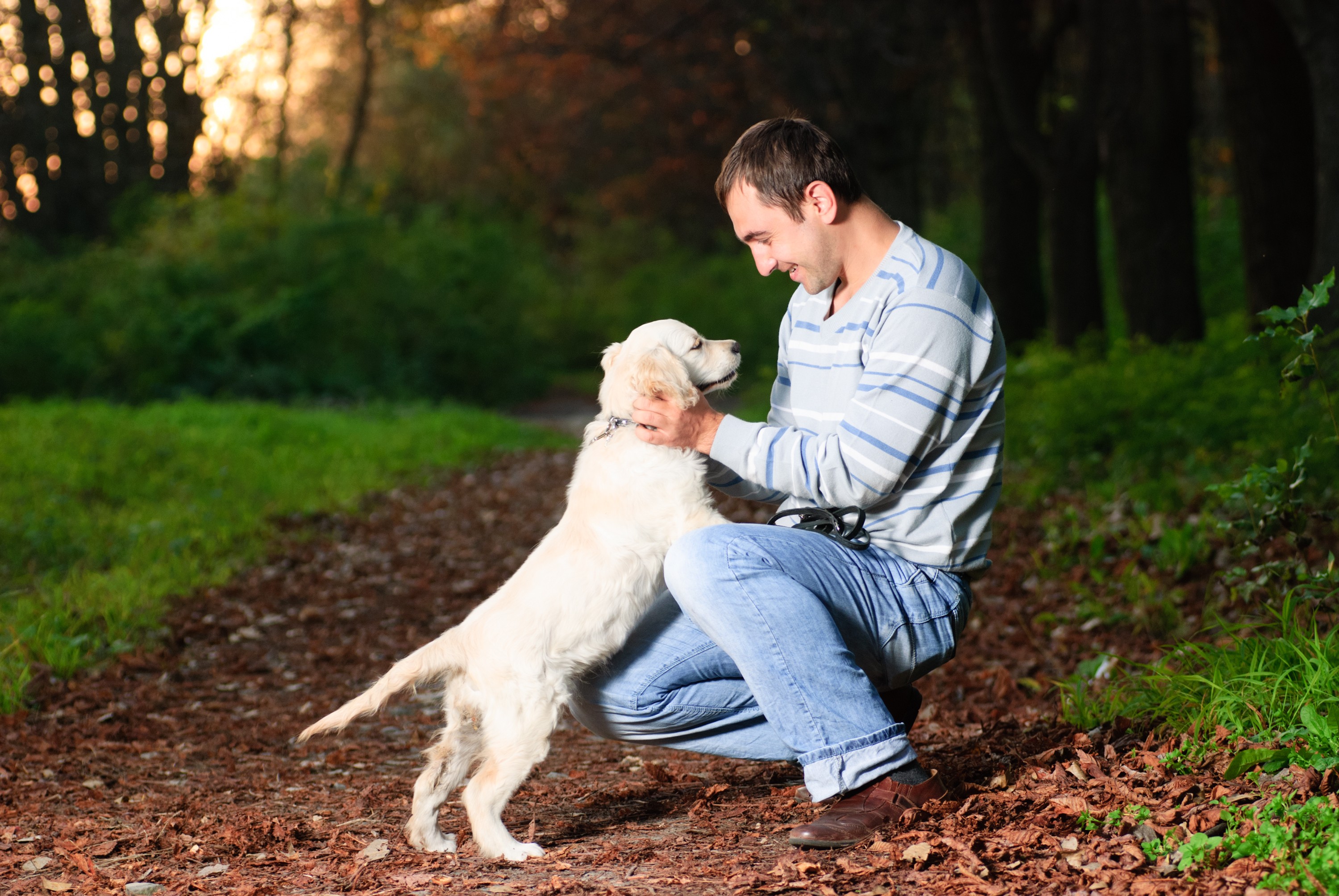 source: Pet Insurance Australia